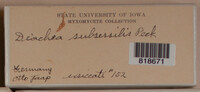 Image Associated With the Occurence